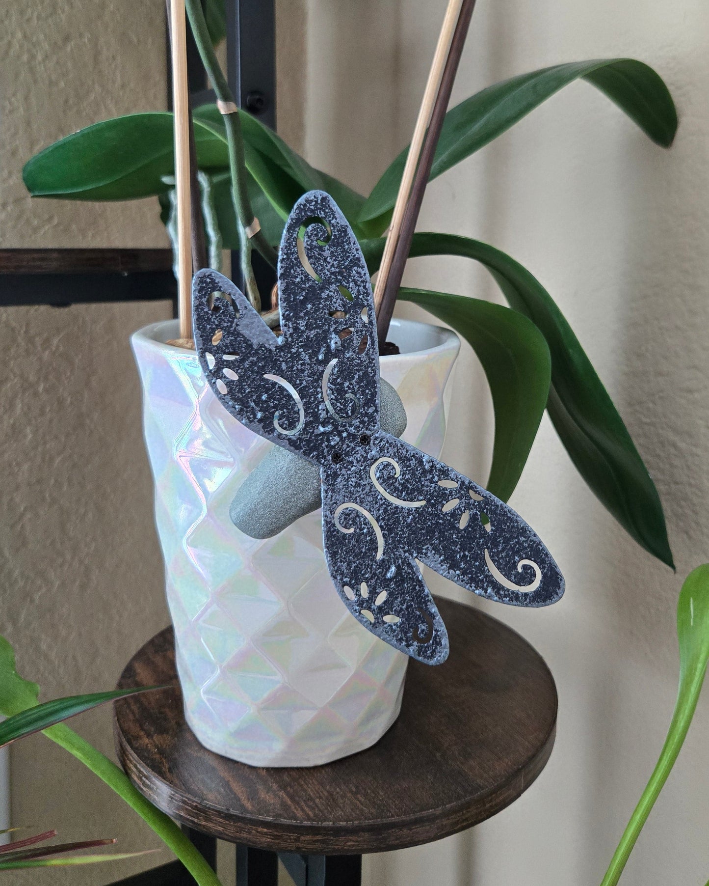 Decorative dragonfly wings on a plant with a white wall background