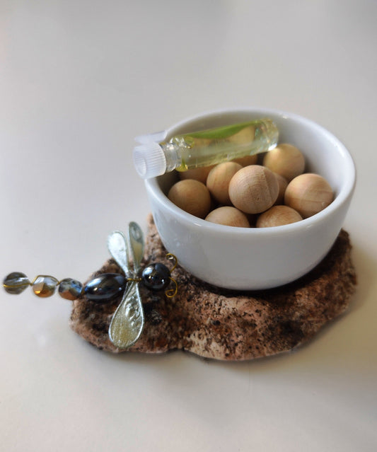 Dragonfly Aromatherapy Kit